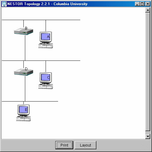 NESTOR prototype topology visualization