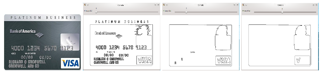 privacy-levels-for-credit-card