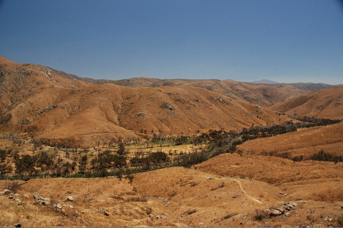 20040605-0513 Colorful Landscape