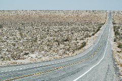 20040606-0762 Texas Dip