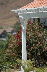 20040605-0570 House and red bush