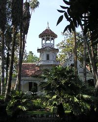 p5265204 Da Plane Boss