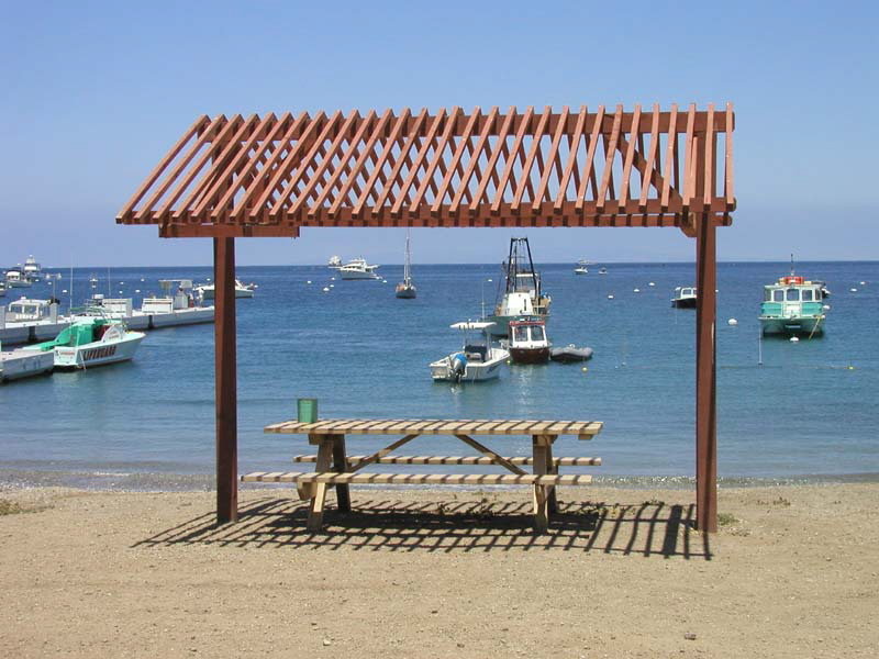 P6010033 Picnic Table