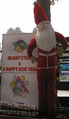 Merry Xmas and Happy New Year