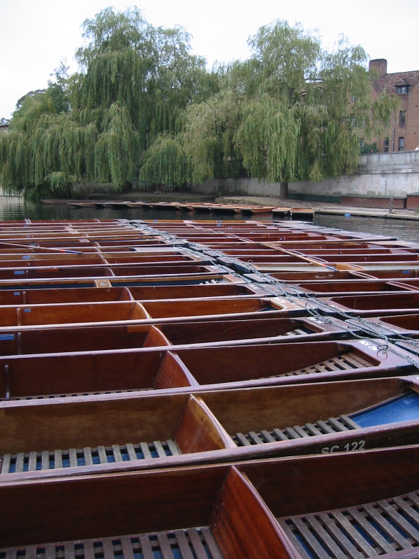 Punts, Cambridge