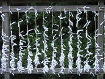 Prayers on Rope, Hachiman-gu Shrine, Kamakura