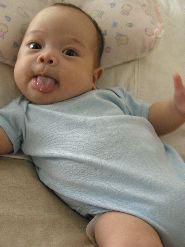 p9186322 Kyle on couch tongue out