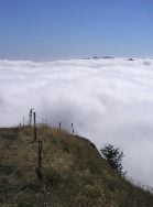 P8102614 Foggy Summit, Saddle Mountain