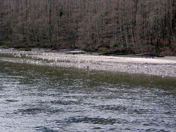 2003_01_09