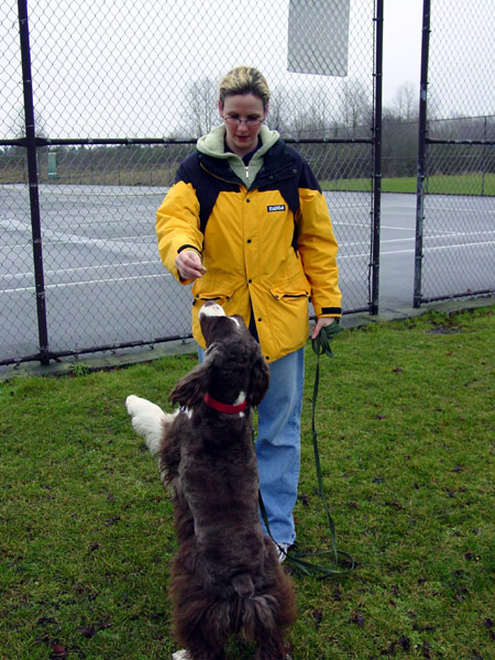 2003_01_09