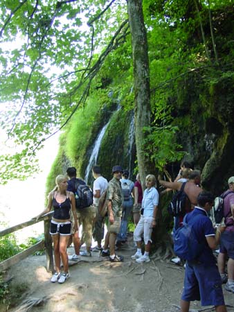 DSC03015