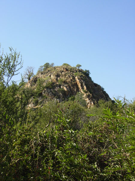 Thulamela 009