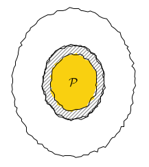 Egg Property