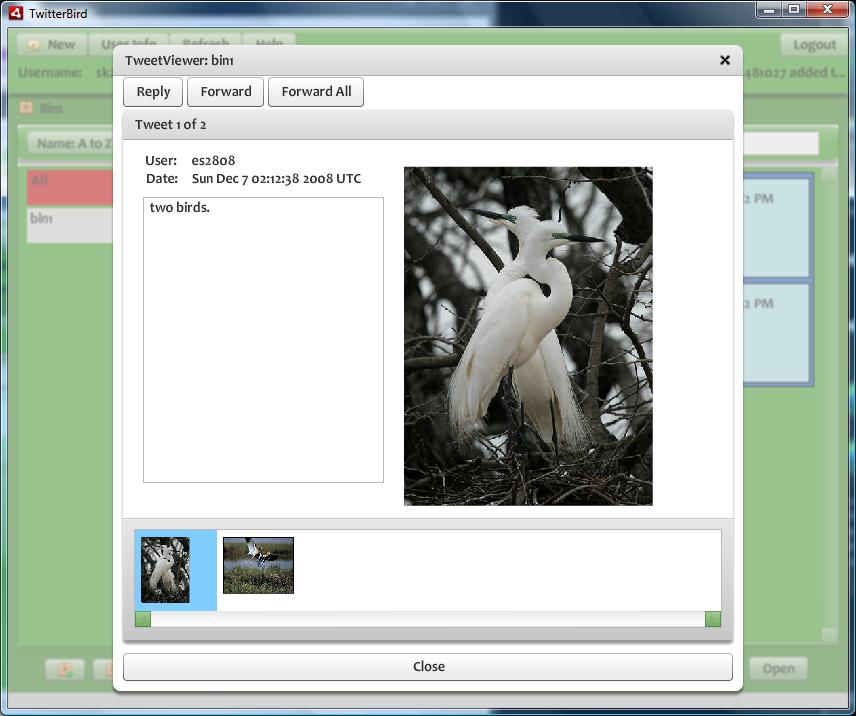 TwitterBird screenshot