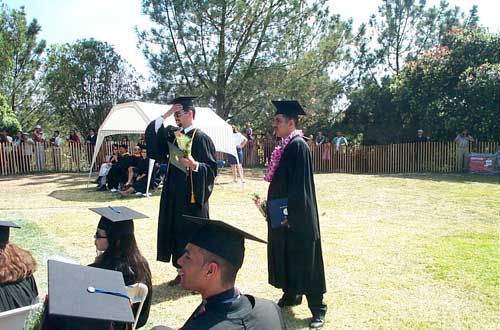 guru_arfi_diplomas