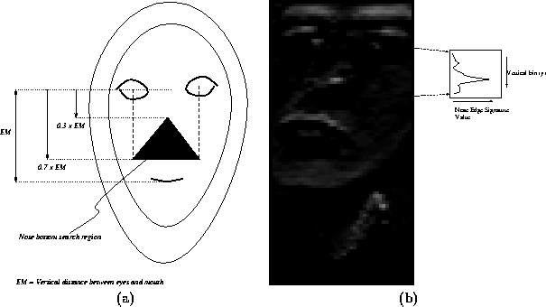 \begin{figure}\center
\begin{tabular}{cc}
\epsfig{file=locs/figs/noseSpace.ps,h...
...eight=7cm, angle=-90}\\
(a) & (b)
\end{tabular}\\ \vspace*{0.5cm}
\end{figure}