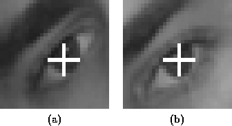 \begin{figure}\center
\begin{tabular}{cc}
\epsfig{file=locs/figs/stephen.pupilL...
...ilR.ps, height=3.5cm}\\
(a) & (b)
\end{tabular}\\ \vspace*{0.5cm}
\end{figure}