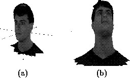 \begin{figure}\center
\begin{tabular}[b]{cc}
\epsfig{file=norm/figs/outplane1...
...ne2.ps,height=3cm}\\
(a) & (b)
\end{tabular} \\ \vspace*{0.5cm}
\end{figure}