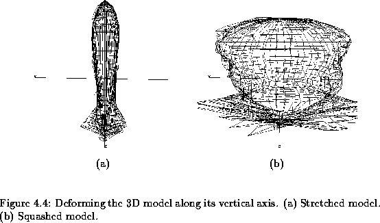 \begin{figure}% latex2html id marker 2306
\center
\begin{tabular}[b]{cc}
\eps...
... along its vertical axis. (a)
Stretched model. (b) Squashed model.}\end{figure}