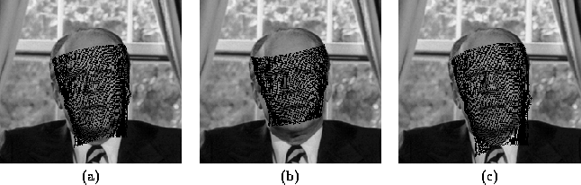 \begin{figure}\center
\begin{tabular}[b]{ccc}
\epsfig{file=norm/figs/mouthfit...
...,height=4cm}\\
(a) & (b) & (c)
\end{tabular} \\ \vspace*{0.5cm}
\end{figure}