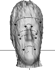 \begin{figure}\center
\epsfig{file=norm/figs/mirroring.ps,height=5cm} \end{figure}