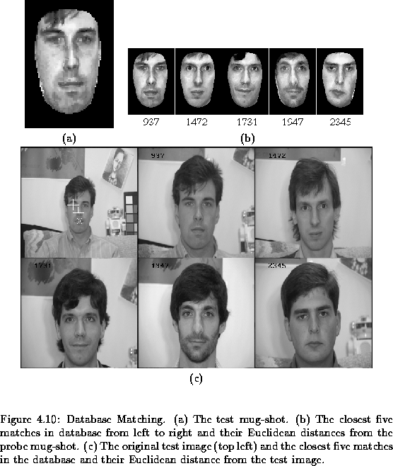 \begin{figure}% latex2html id marker 3215
\center
\begin{tabular}[b]{cc}
\epsf...
... in the
database and their Euclidean distance from the test image.}\end{figure}