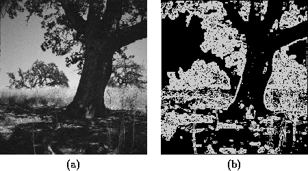 \begin{figure}\center
\begin{tabular}[b]{cc}
\epsfig{file=consymscal/figs/edge...
...obel_b.ps,height=5cm}\\
(a) & (b)
\end{tabular}\\ \vspace*{0.5cm}
\end{figure}