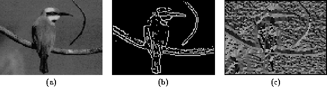 \begin{figure}\center
\begin{tabular}[b]{ccc}
\epsfig{file=consymscal/figs/bir...
...s,height=3.3cm}\\
(a) & (b) & (c)
\end{tabular}\\ \vspace*{0.5cm}
\end{figure}