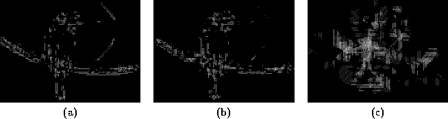 \begin{figure}\center
\begin{tabular}[b]{ccc}
\epsfig{file=consymscal/figs/bir...
...s,height=3.3cm}\\
(a) & (b) & (c)
\end{tabular}\\ \vspace*{0.5cm}
\end{figure}