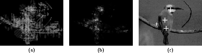 \begin{figure}\center
\begin{tabular}[b]{ccc}
\epsfig{file=consymscal/figs/bir...
...s,height=3.3cm}\\
(a) & (b) & (c)
\end{tabular}\\ \vspace*{0.5cm}
\end{figure}