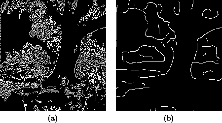 \begin{figure}\center
\begin{tabular}[b]{cc}
\epsfig{file=consymscal/figs/edge...
...iche_b.ps,height=5cm}\\
(a) & (b)
\end{tabular}\\ \vspace*{0.5cm}
\end{figure}