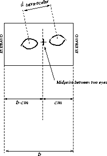 \begin{figure}\center
\epsfig{file=locs/figs/eyeDist.ps,height=7cm, angle=-90} \end{figure}