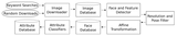 Overview of the Database Creation Process