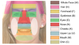 Face Regions used for Automatic Feature Selection