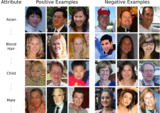 Training images for attribute classifiers