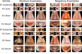 Training images for simile classifiers