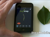 IntoMobile Leafsnap demo