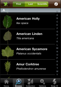 Guided Tour of Leafsnap - Browse Screen