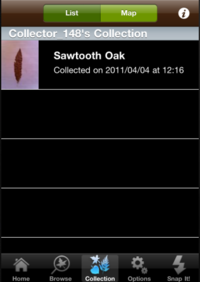 Guided Tour of Leafsnap - Collection