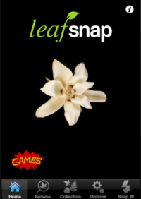 Guided Tour of Leafsnap - Home Screen