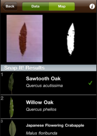 Guided Tour of Leafsnap - Labeling a Leaf
