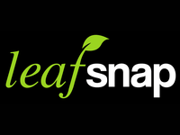 Leafsnap Homepage
