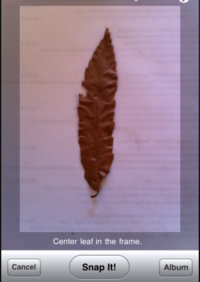 Guided Tour of Leafsnap - Snap It!