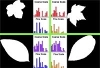 Why Curvature Histogram Features?