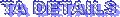 TA DETAILS