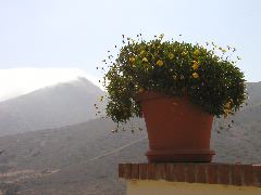 P5310078 Flowerpot Mountain