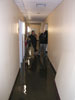 Flooded hallway outside my office