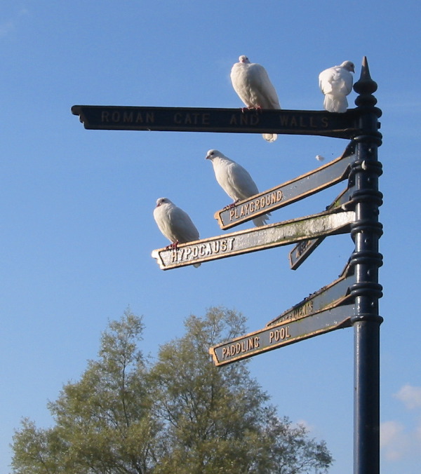 Direction Sign with Birds, St. Albans