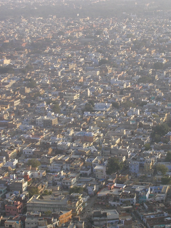 p1094317 Jaipur