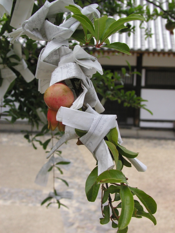 Prayers on tree, Nara